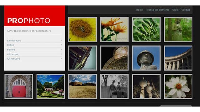 WP ProPhoto - A Wordpress Theme For Photographers | Themeforest Website Templates and Themes смотреть онлайн