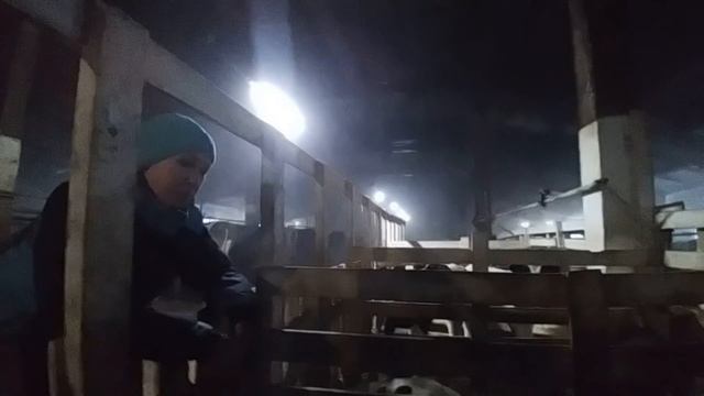 Покупка телят что я там увидел я еще вернусь смотреть онлайн