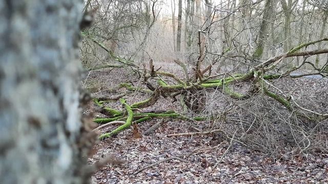 Вареники с картошкой ???Врап лепёшки с начинкой ?Прогулка ? смотреть онлайн