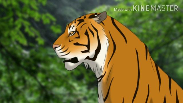 Tuna tuni song odia || Odia cartoon stories || Cartoon || Odia rhymes смотреть онлайн