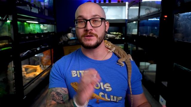 Top 5 Bulletproof Reptiles! The Healthiest, Least Prone to Sickness and Death Reptiles! (RIP Bob) смотреть онлайн