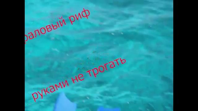 поездка 2 сайпан смотреть онлайн