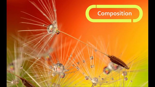 Macro photography tips смотреть онлайн