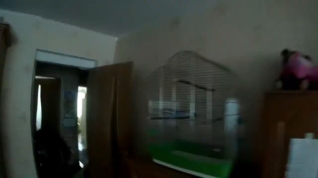 Тест экшн - камеры SJCAM SJ4000 смотреть онлайн