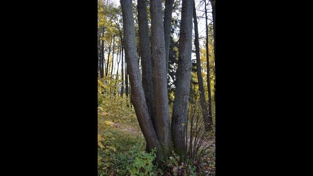 Шахматово фото часть 2