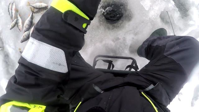 Peipsil sikuga ahvenal смотреть онлайн
