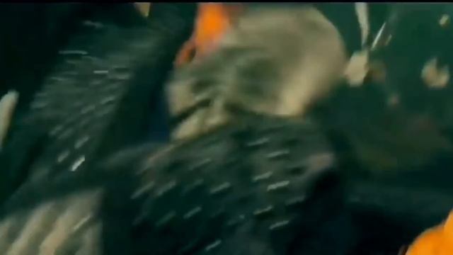ПОГИБШИЕ ДРЕВНИЕ КОРАБЛИ / ПОДЪЁМ АРТЕФАКТОВ И СТАРИННОГО ОРУЖИЯ смотреть онлайн