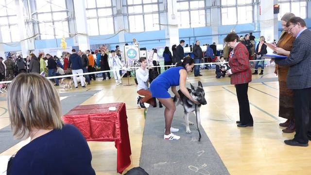Рождественское шоу 1 смотреть онлайн