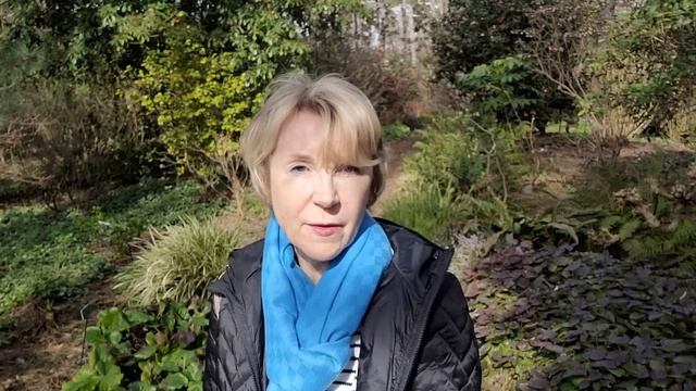 Влог Париж 2023. Парк цветов в Венсенском лесу смотреть онлайн