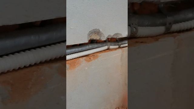 Все про инновации