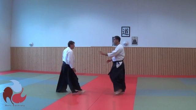 Kata dori: Shiho Nage. смотреть онлайн