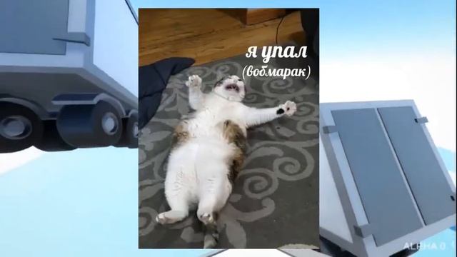 ИСТОРИИ ИЗ ЖИЗНИ ВОЛКА смотреть онлайн