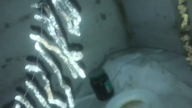 Сушение , червя креветок и мидий для рыбалки. смотреть онлайн