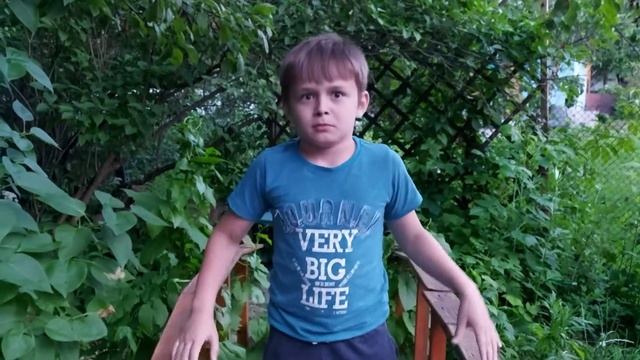 КИВИ!!! В МИРЕ ПТИЦ!!! смотреть онлайн