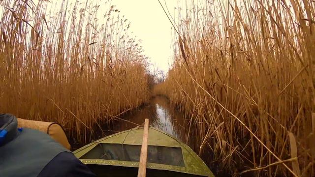 Жесть, смотреть до конца!( слова КУМА) Непроходимые плавни! Красоты природы!!! смотреть онлайн