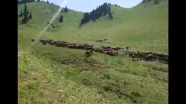 Моя родина смотреть онлайн