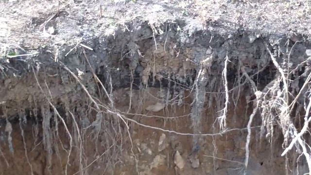 Провалы в шахты. Урал. Артёмовский смотреть онлайн