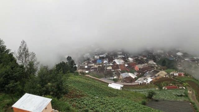 NEPAL VAN JAVA TERBARU SAAT KABUT смотреть онлайн