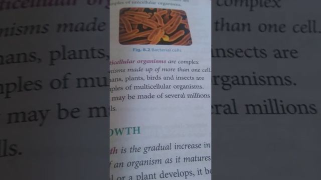 Living and non living things смотреть онлайн