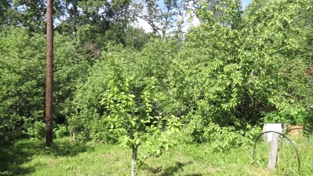 Ролик для ЦИАН | Продажа дачи в городе Сергиев Посад смотреть онлайн