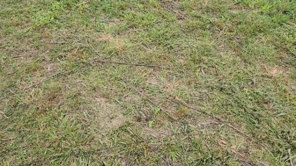 LCARA HAM Radio: DX Commander Signature 9 Antenna Build, Testing and Making Contacts!!!!