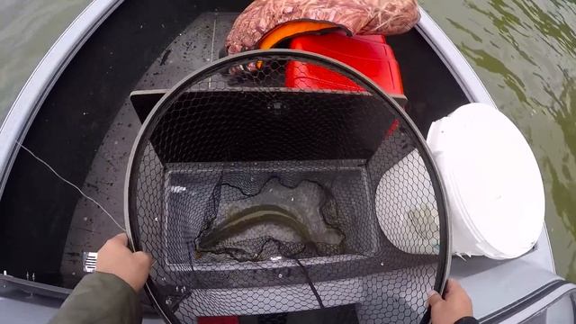 ВОТ ЭТО РЫБАЛКА!!! ЛОВИЛ ОКУНЯ ,А КЛЮНУЛА ОГРОМНАЯ ЩУКА! Ловля в коряжнике смотреть онлайн