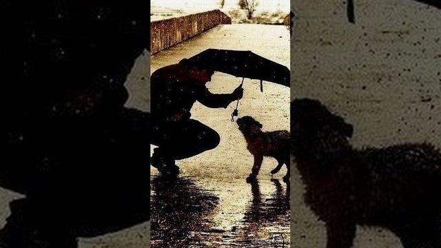 Долготерпеливый монах - Мудрая притча, учение слушать онлайн.mp4 смотреть онлайн