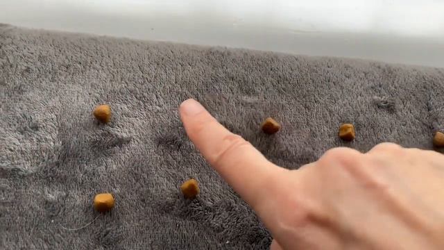 Cat Maths Ep 3 смотреть онлайн