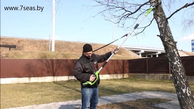 Как ухаживать за высокими деревьями ➤ высотный сучкорез Greenworks G24PS20 (2000107) смотреть онлайн