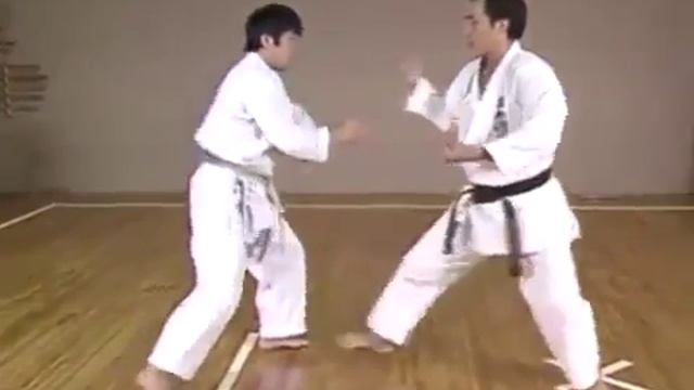 Kihon Ippon Kumite _ Hirokazu Kanazawa 10th Dan Karate Shotokan смотреть онлайн