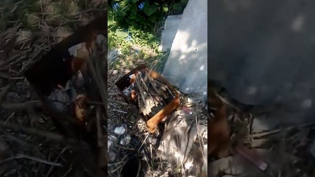 Как зажечь костер без житкости для рожига смотреть онлайн