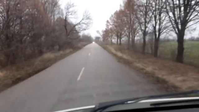 С.С.А //Село и свиньи// Доставка маленьких поросят//одстающие свинки // смотреть онлайн