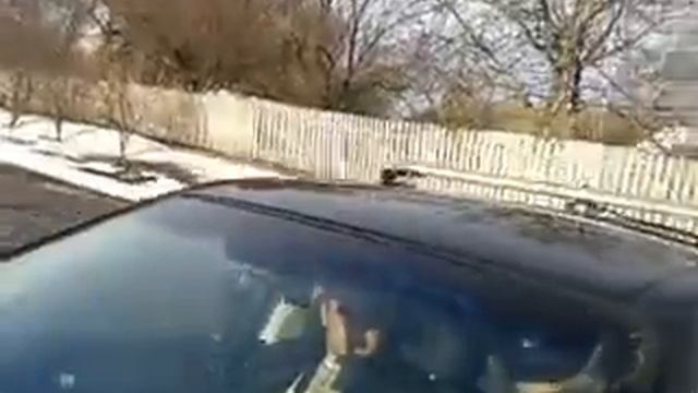 ГАИ В помощи не нуждаются. смотреть онлайн