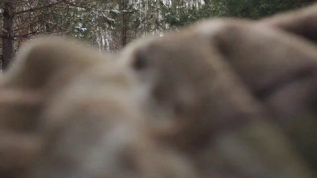 Rabbit Hunting (how-to) смотреть онлайн
