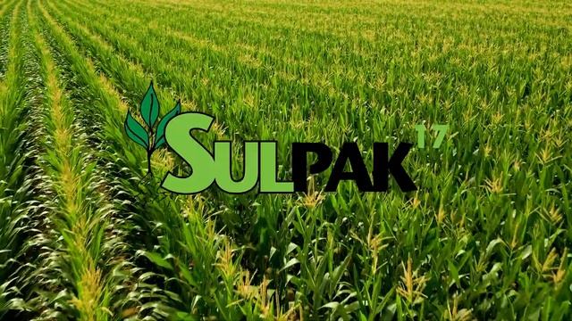 A Quick Look... SulPak // AgXplore смотреть онлайн