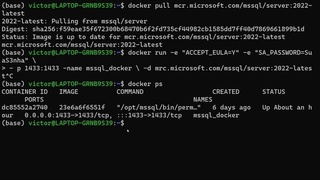 Fazendo o RESTORE de uma base MS SQL Server no DOCKER!!! смотреть онлайн