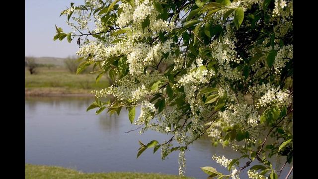 3 мая 2022 г. Радоница. Что можно и категорически нельзя делать в этот день. смотреть онлайн