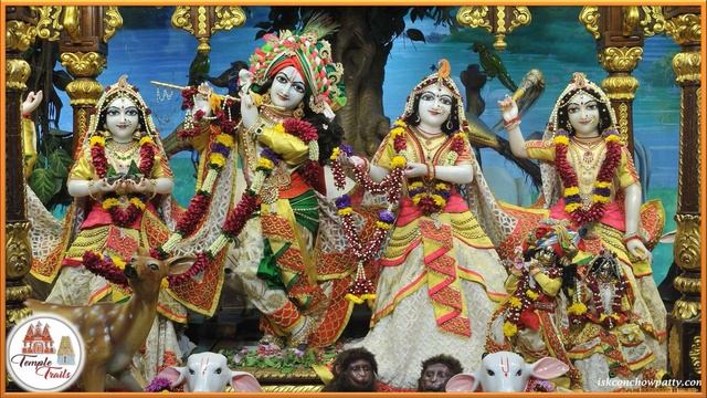 Krishna Maha Mantra | Hare Krishna-Hare Rama | 100 Days Daily Darshan | ISKCON Chowpatty смотреть онлайн
