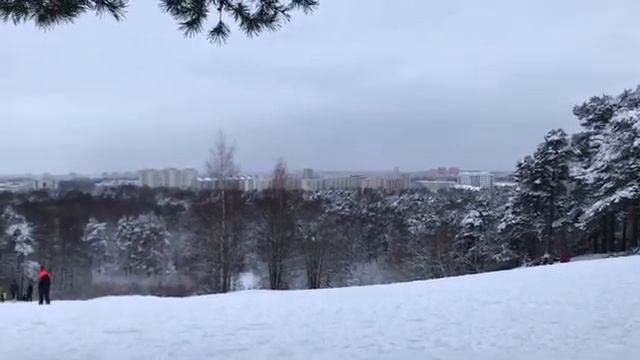 Гуляю в Нымме - самый лесной район Таллинна. Красивый сосновый лес всего в 15 минутах от центра. смотреть онлайн
