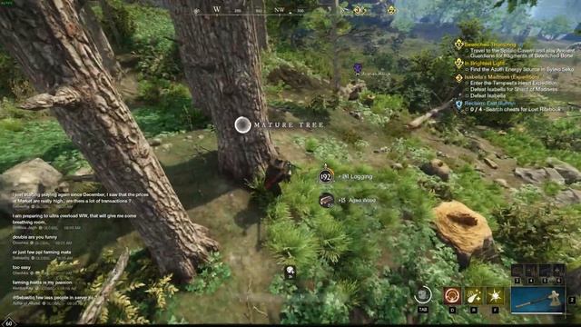 New World 20-06-2022 - Logging Bot: Azariah Matija (Midgard) - BANNED/Deleted смотреть онлайн