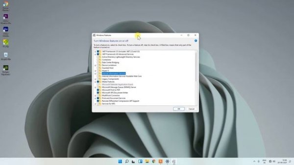 How to Enable FTP Server Setting in Windows 11