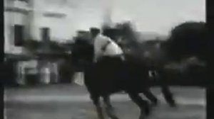 Конкур. Мировой рекорд в высоту 2 м 47 см.