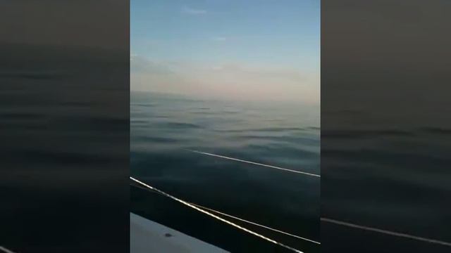 XP44 на траверзе о. Змеиный смотреть онлайн