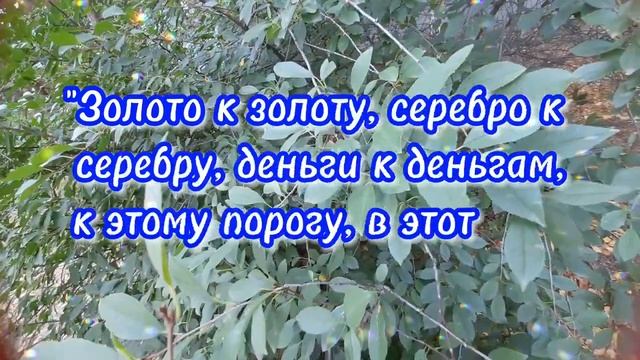 Храни свои сбережения правильно Как правильно хранить деньги 1 смотреть онлайн