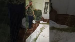 Сеть рыболовная косорамная 65-ка