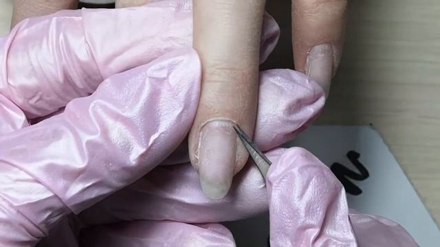 Как относились материалы BLOOM/Тестируем файбер базу PNB/Нежная классика смотреть онлайн