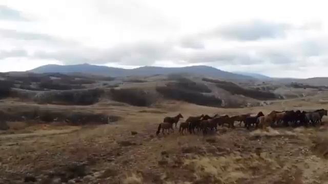 У природы нет плохой погоды: видео «экватора» гонки Ladoga Trophy в Крыму смотреть онлайн