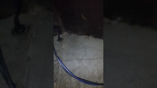 Конденсат в гараже. смотреть онлайн