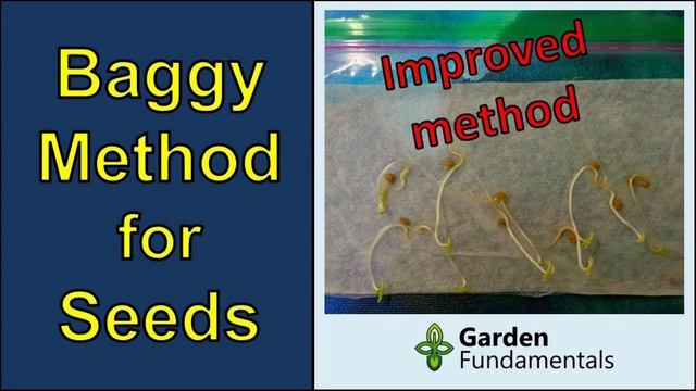 Arisaema (Jack-in-the-pulpit) Flowers Faster From Seed ??? Reduce Jack-in-the-pulpit Flowering Time