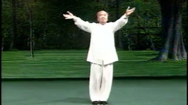 Wu Shi Taijiquan 83 Shi. Gao Zhuangfei.avi